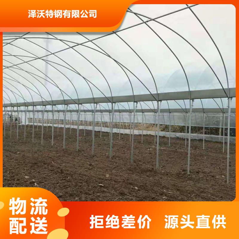 高阳县草莓大棚怎么