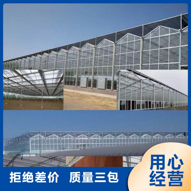 鱼台种植棚厂家现货