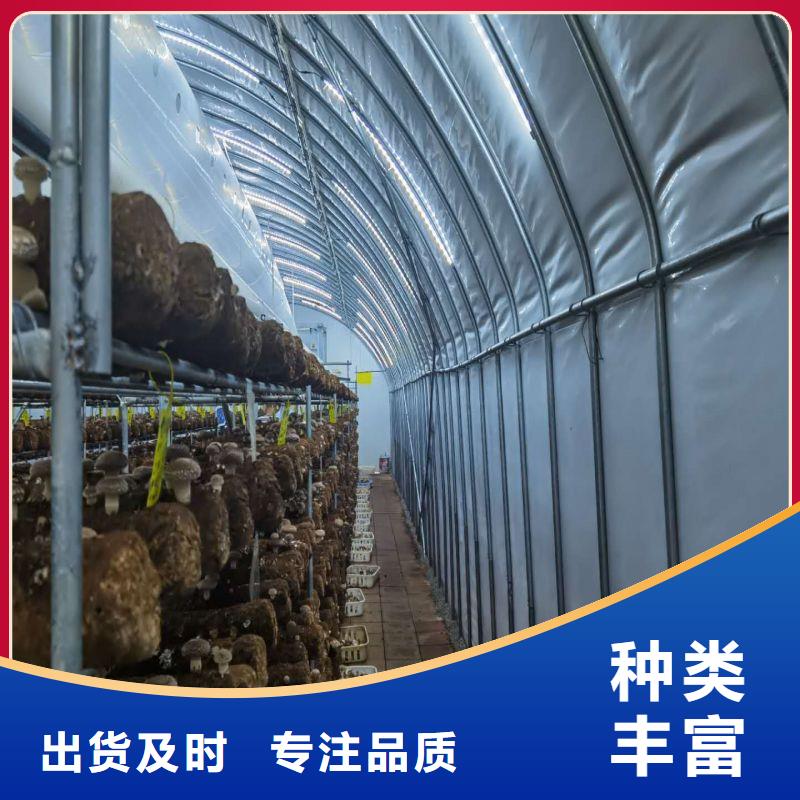 咸丰县高品质大棚管厂家