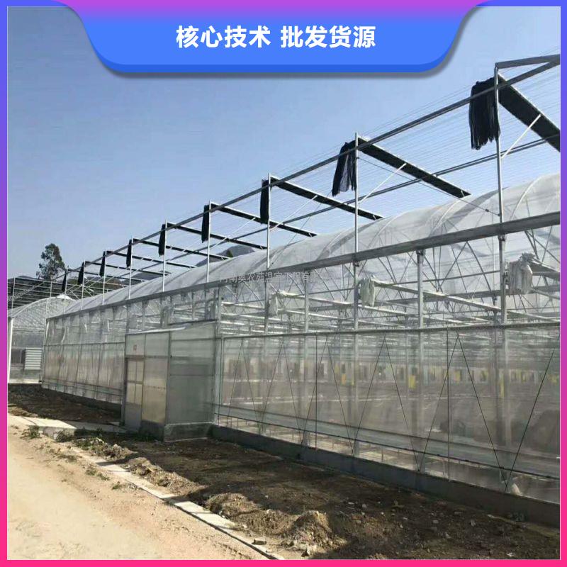 东辽县苗床种植基地
