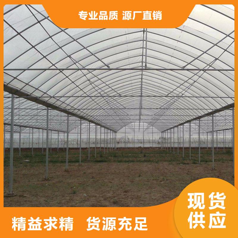 鱼台种植棚厂家现货