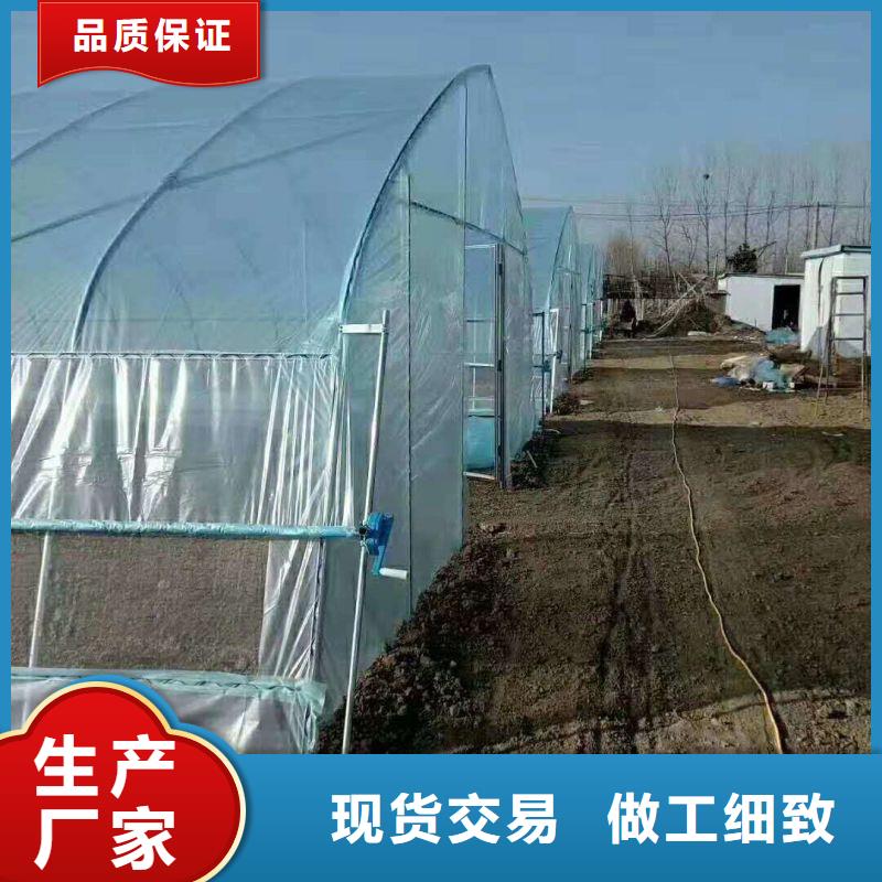 衡山县热镀锌连体大棚管,价格