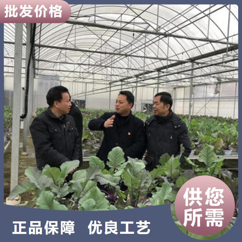 养鹅大棚管介绍电镀锌,