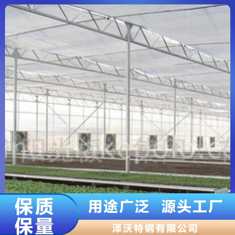 专业生产制造大棚搭建