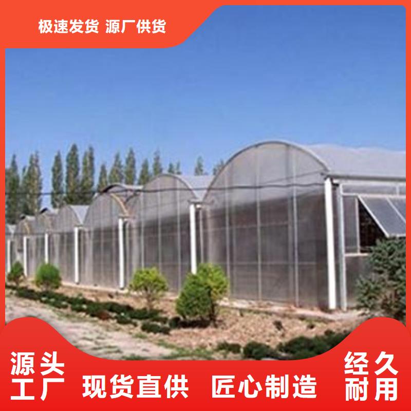 薄膜连栋大棚放心选择