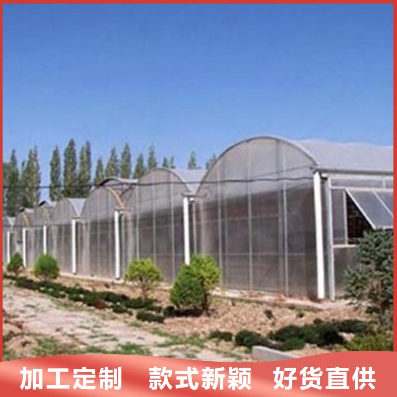 大棚搭建_大棚搭建厂家