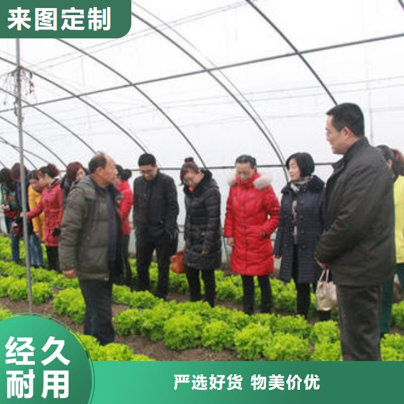 蔬菜大棚骨架机商品批发/