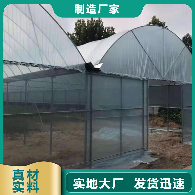 石狮市葡萄热镀锌骨架钢管价格合理质量好有保证