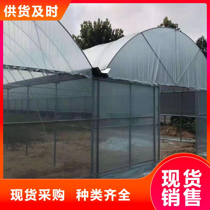 徐水连栋大棚管为您服务2025已更新