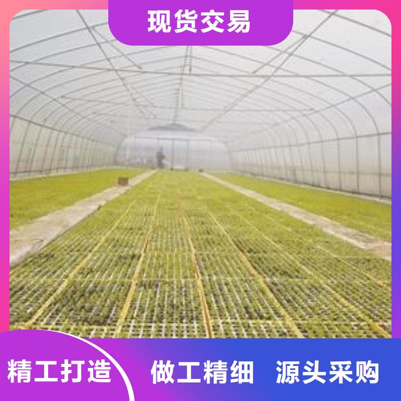 凤县花卉22公分26分钢管