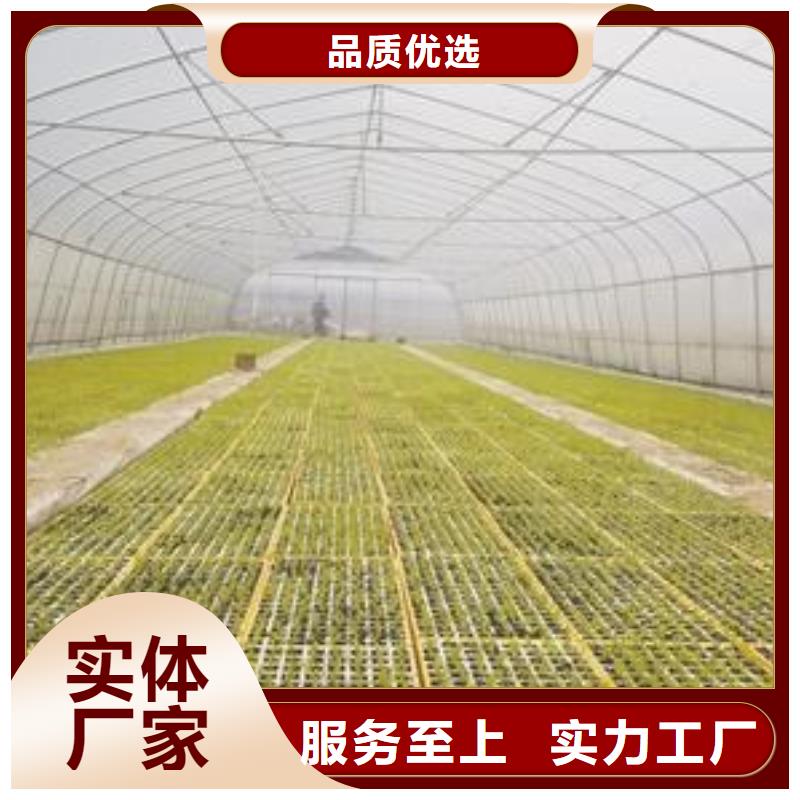 825型大棚管供应信息,