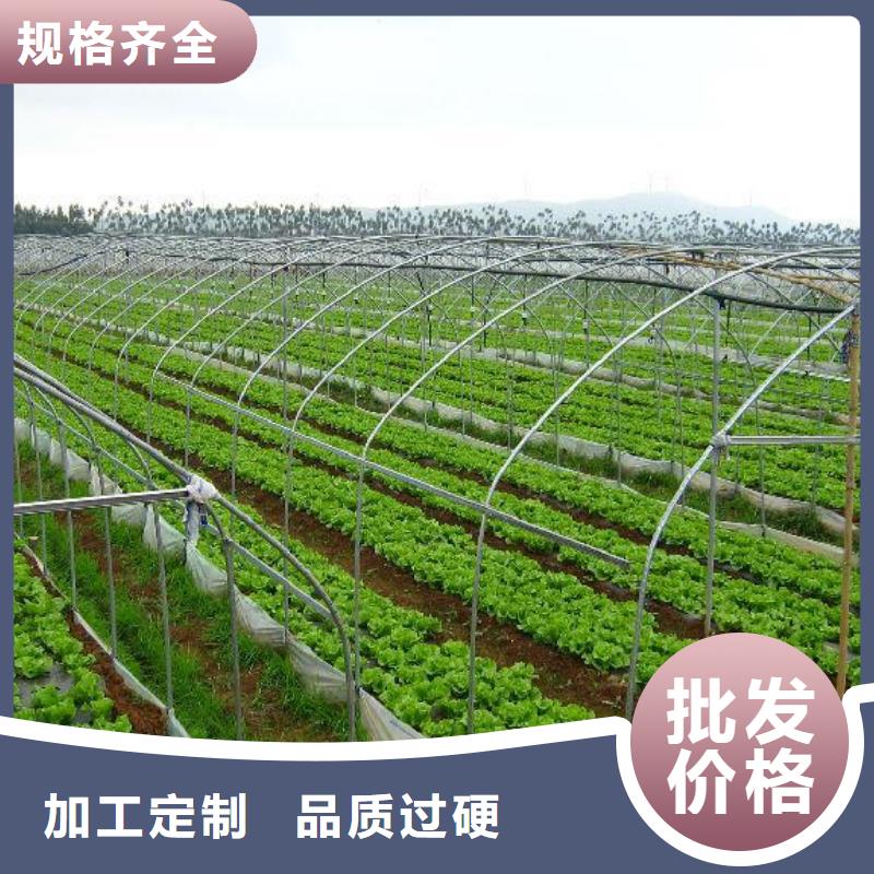 丰泽区1寸蔬菜镀锌某地薄膜连栋温室大棚设计图