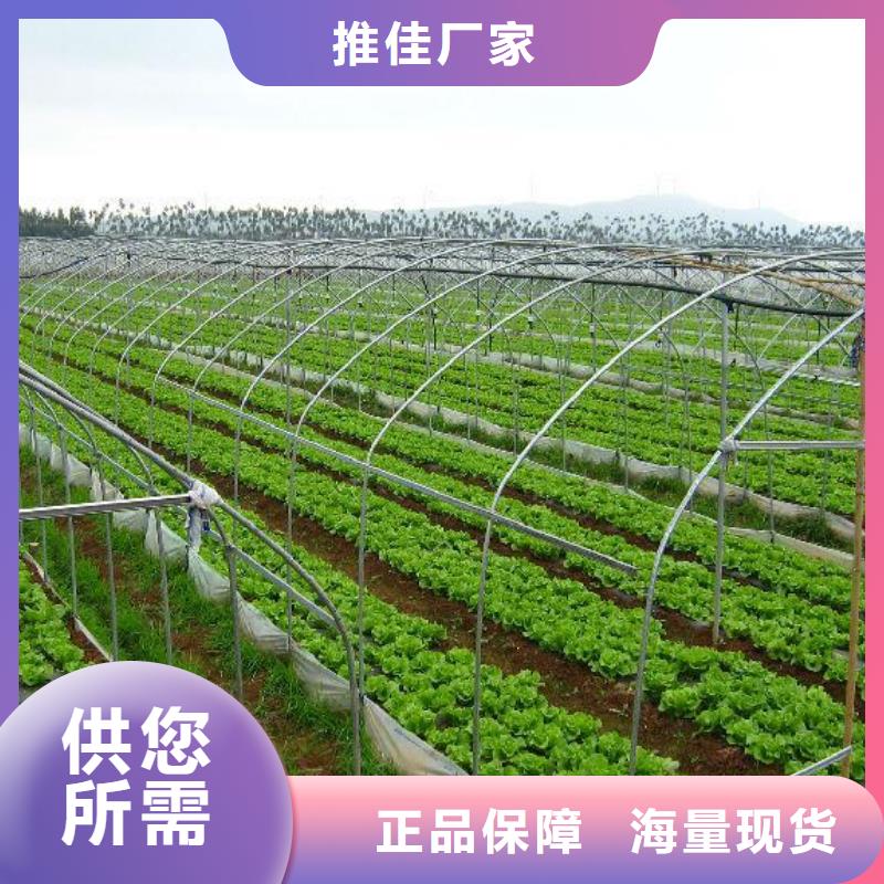 4分大棚骨架发布询价信息等