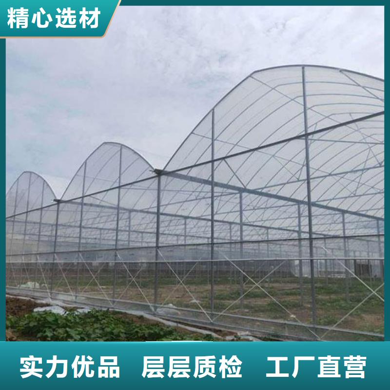 果树大棚钢管工艺精湛,