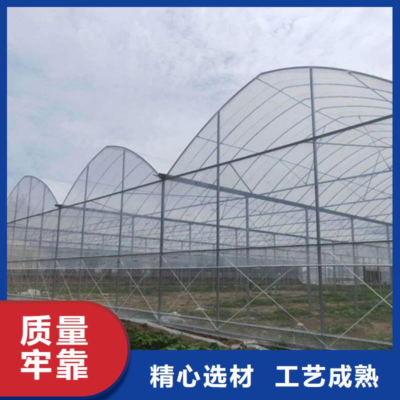柑橘大棚管介绍品质优良,