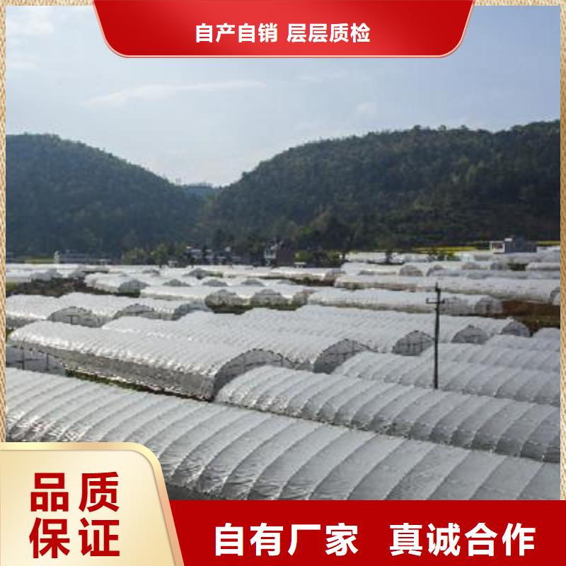 果树大棚钢管工艺精湛,