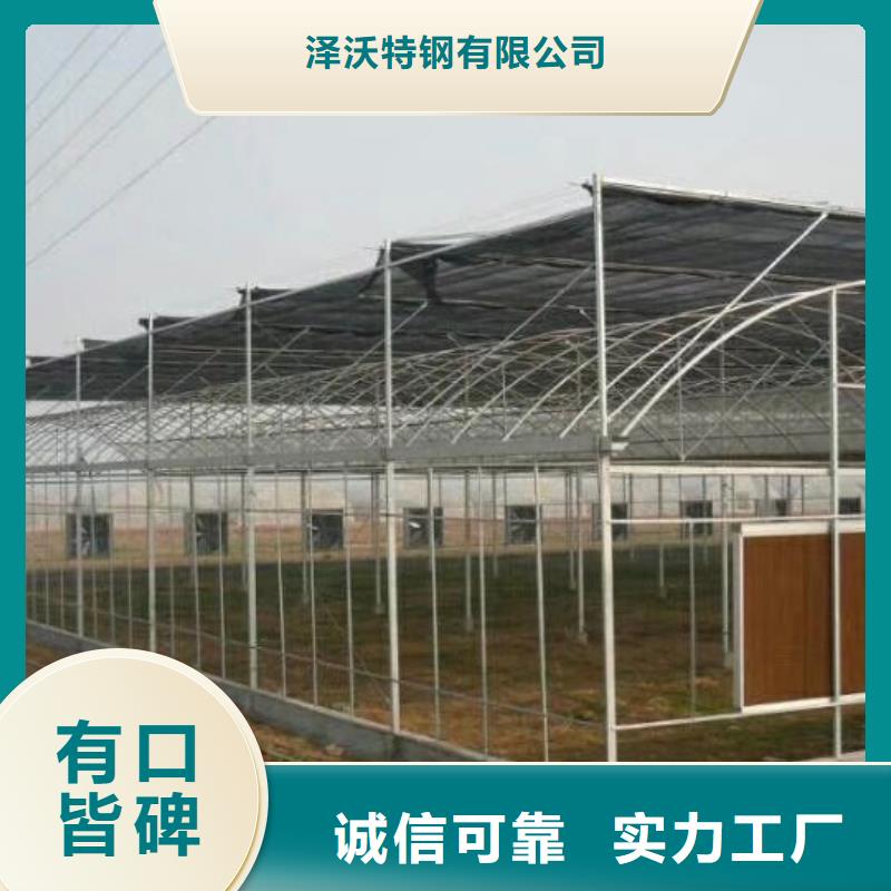 新会区供应连栋热镀锌管专业大棚参数