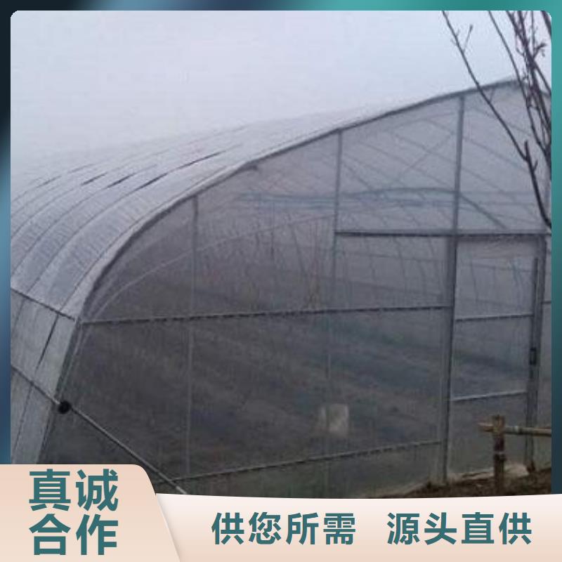 阳明大棚管团队2025已更新