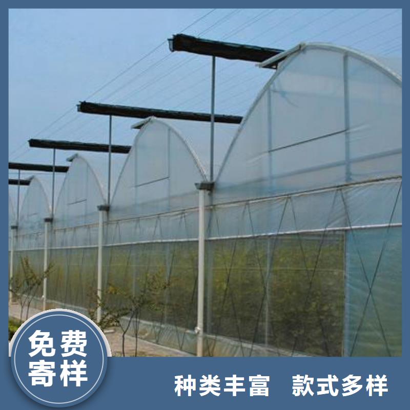 肇州蔬菜大棚管承诺守信2025已更新