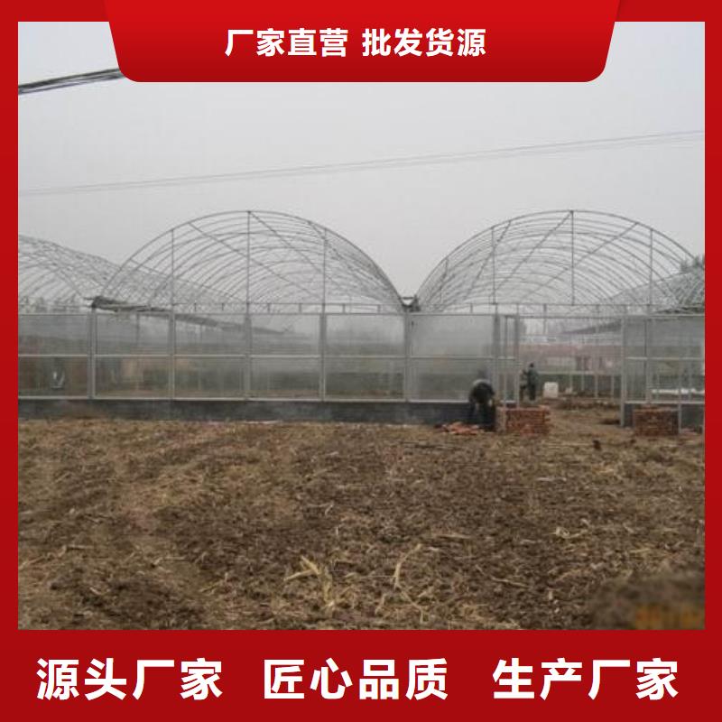大棚管厂家现货报价2025已更新