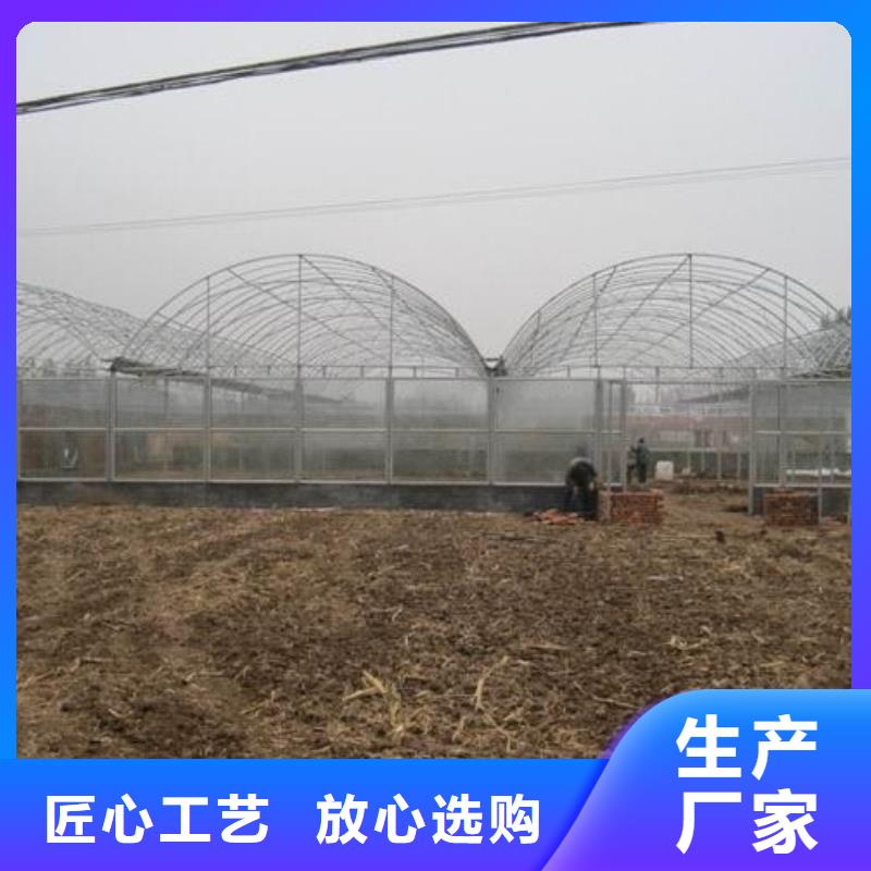 石狮市葡萄热镀锌骨架钢管价格合理质量好有保证