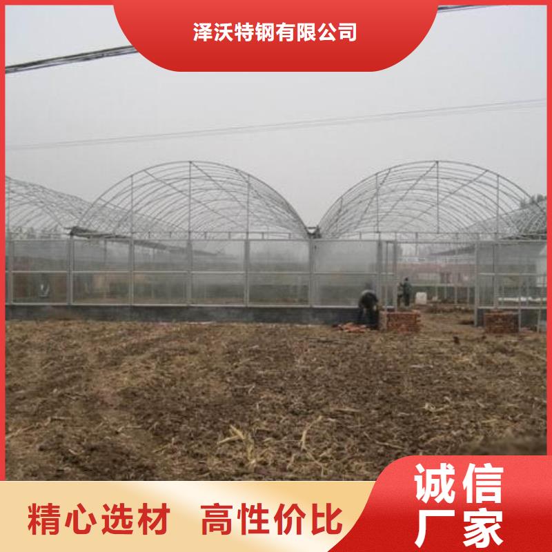 安国市葡萄简易连栋薄膜温室大棚