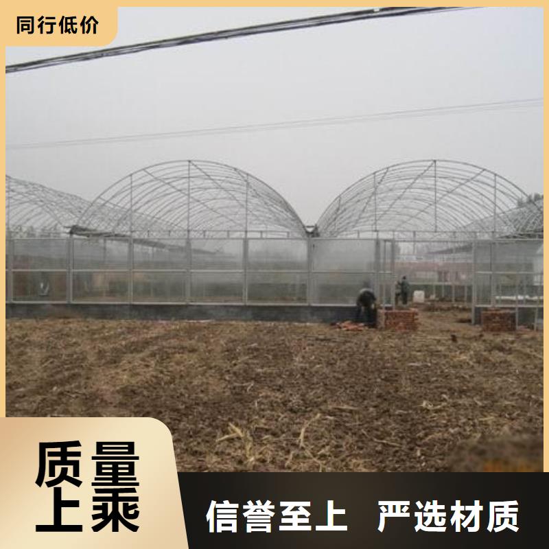 大棚管-连栋温室搭建把实惠留给您