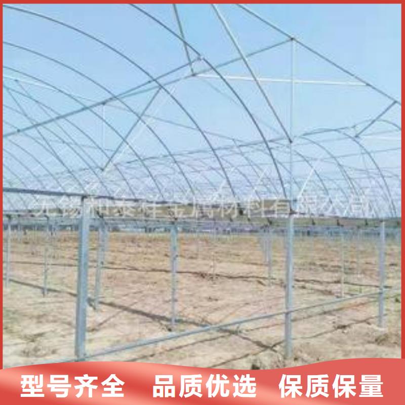 渭滨各型号大棚卡槽大棚钢管折弯