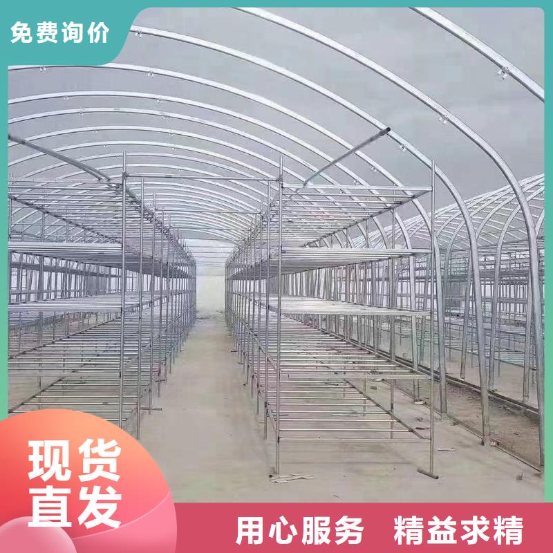 常年供应6分大棚管-口碑好