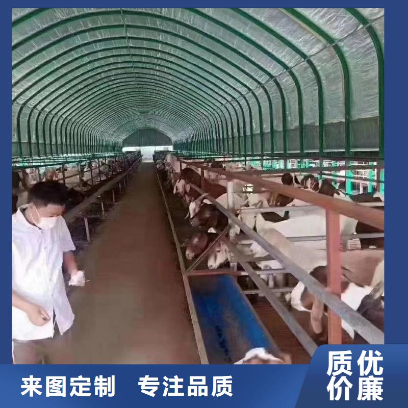 滨湖区4分4分大棚管热销