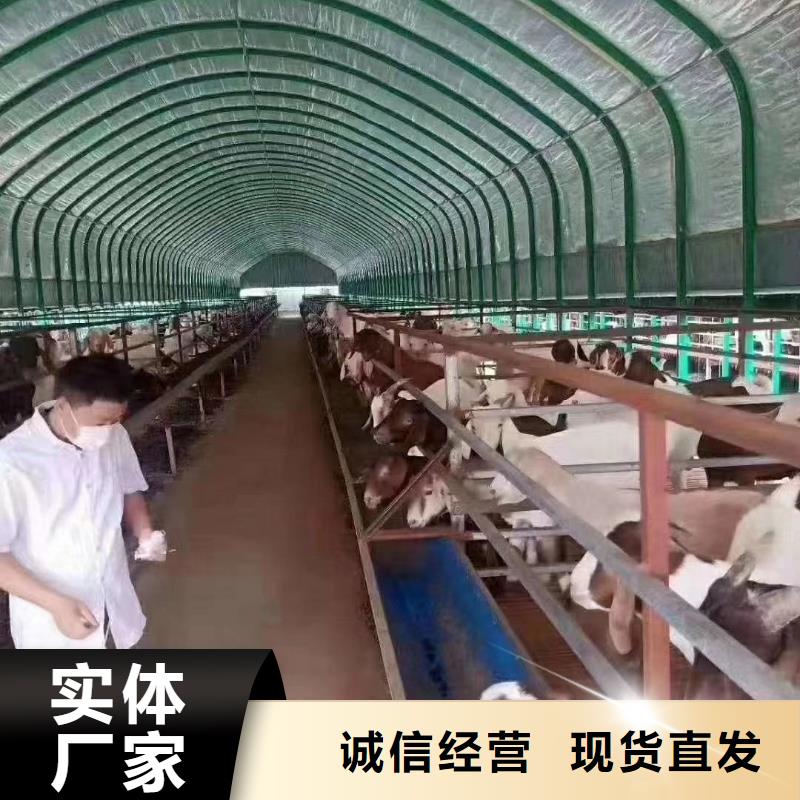 德昌热浸锌哪里专业生产【养殖温室大棚管啊？