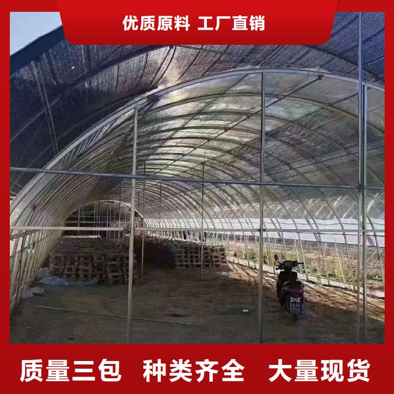 常年供应6分大棚管-口碑好