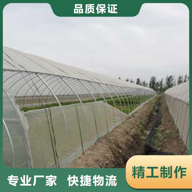 大棚管温室大棚管省心又省钱