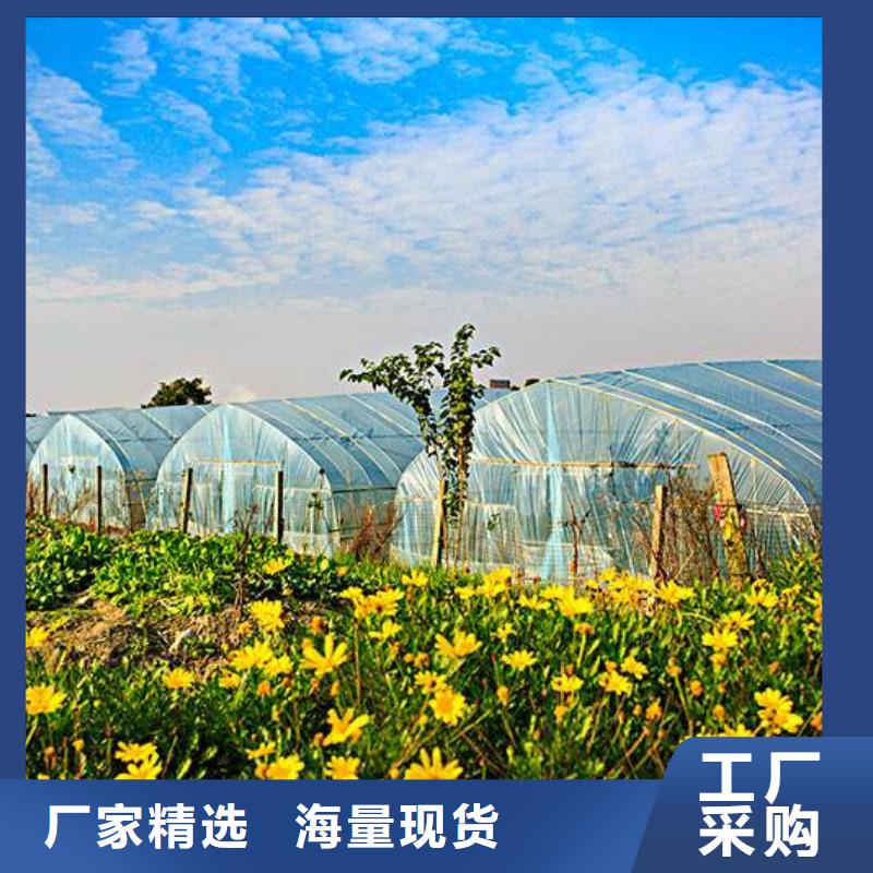 质量可靠的暖棚厂商