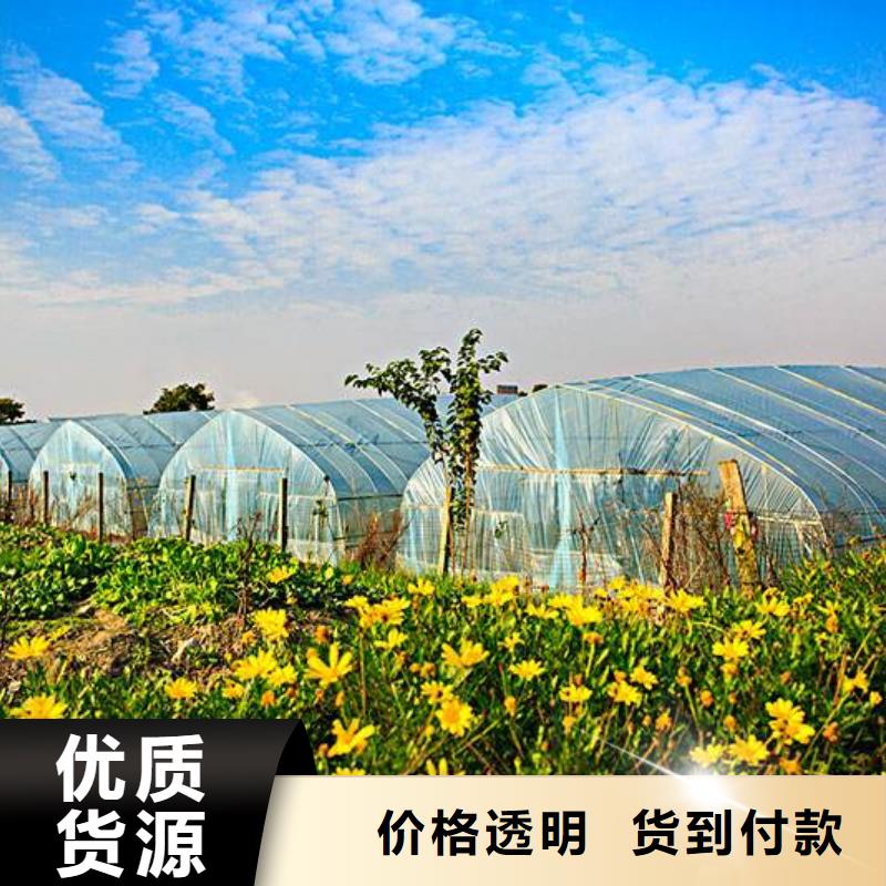 遂州县镀锌带钢管现货销售