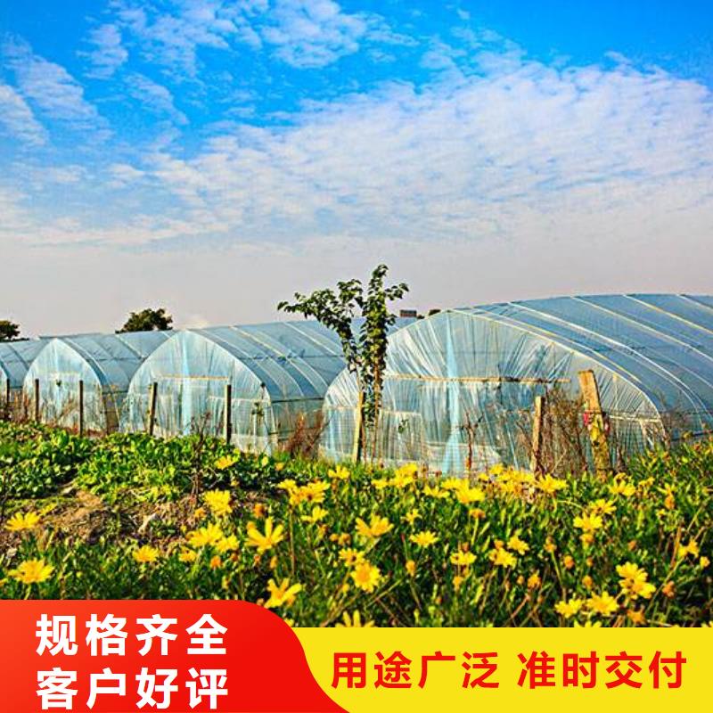 服务周到的温室大棚管经销商