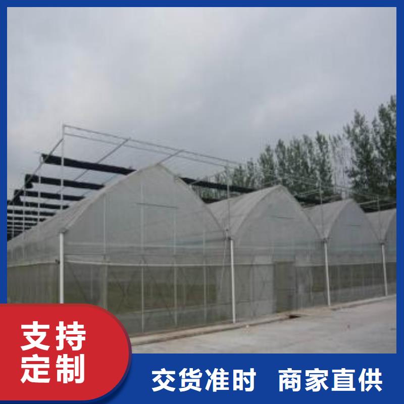 薄膜连栋大棚放心选择