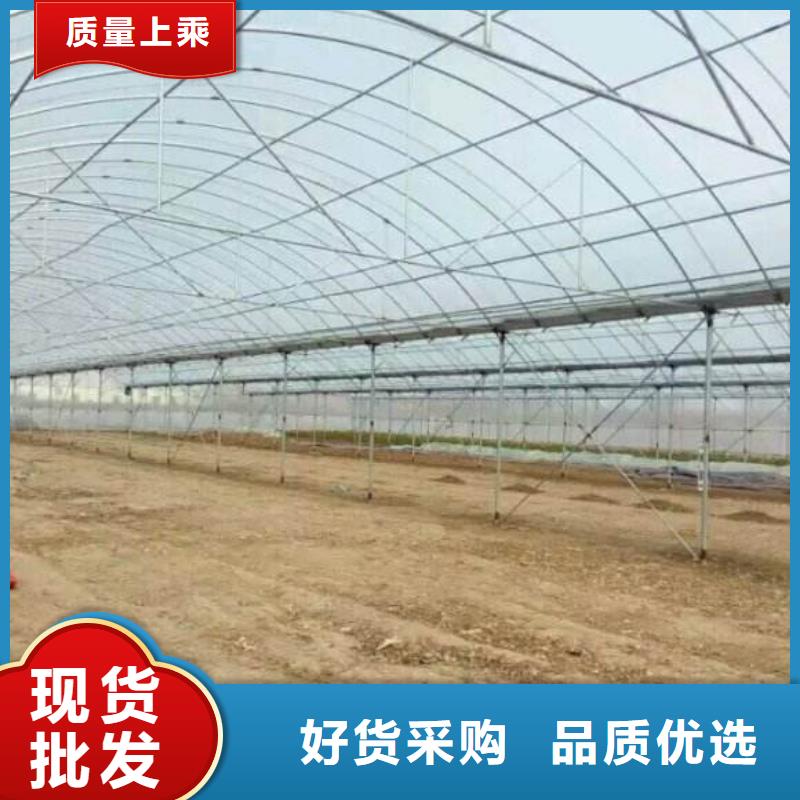 草莓大棚管折弯商品批发/
