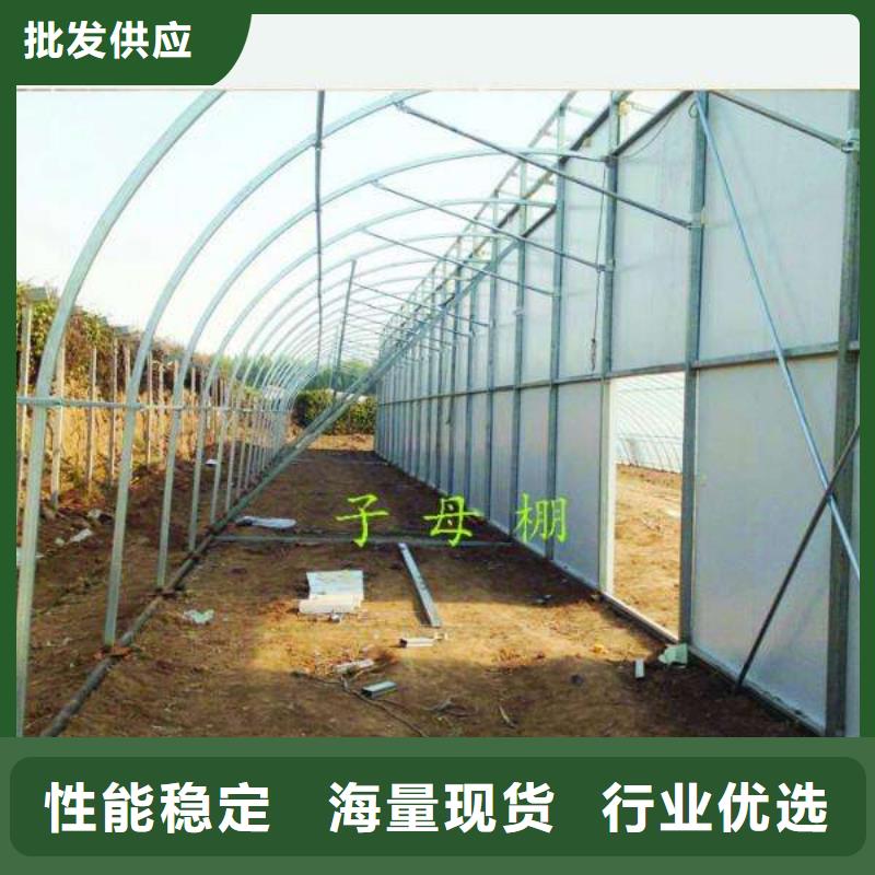 国强大棚钢管品质优良,