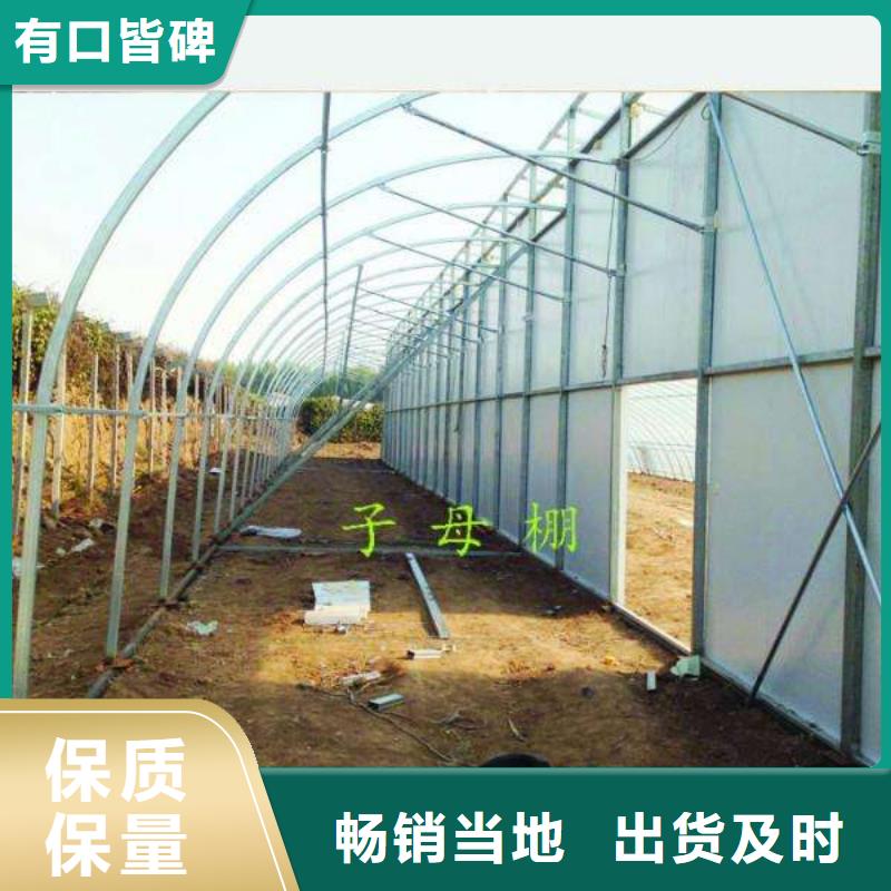 高阳热镀锌大棚管如何用