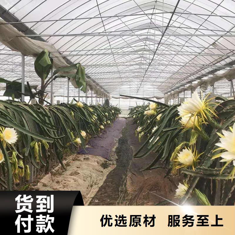 农业大棚管折弯电镀锌,