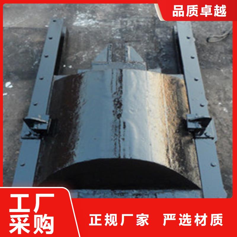 铸铁闸门直联式螺杆启闭机的图文介绍