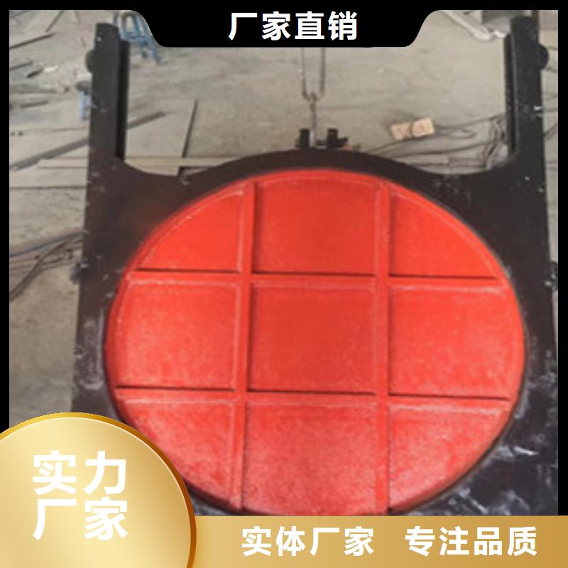【铸铁闸门全封闭式螺杆启闭机欢迎来厂考察】