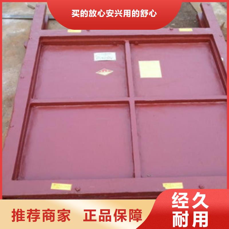 铸铁闸门,钢闸门实力厂家