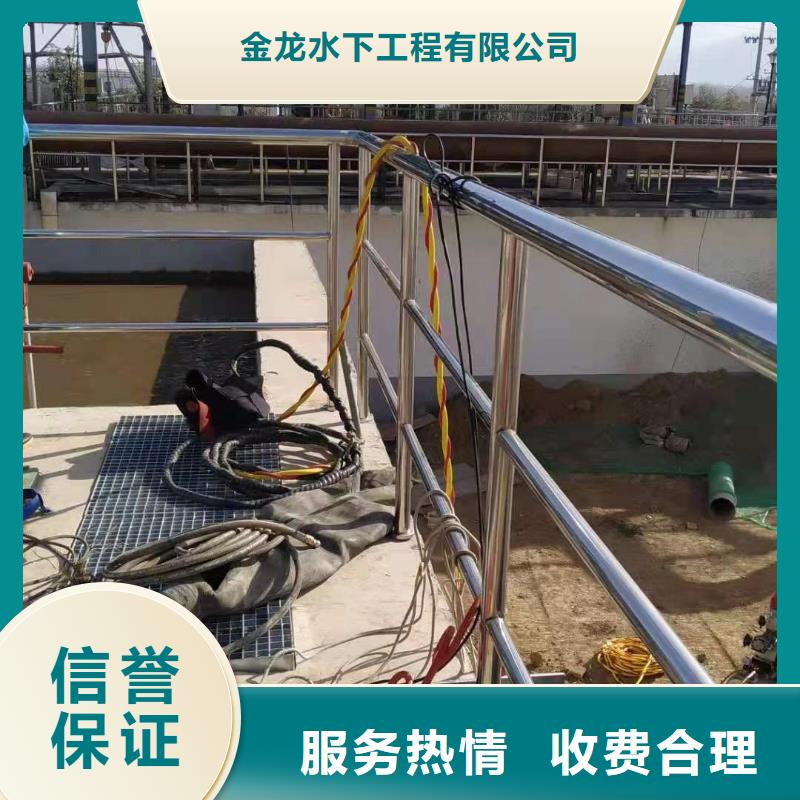 蛙人服务公司本地潜水