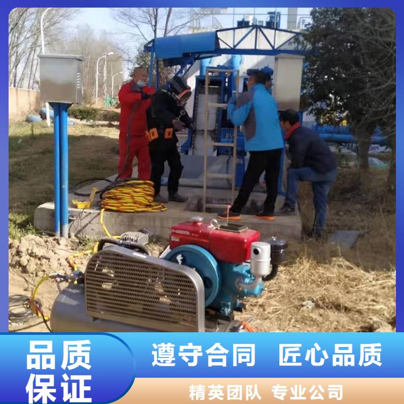 蛙人服务公司专业队伍