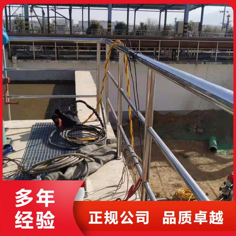 经验丰富的桥桩桥墩水下检测录像销售厂家