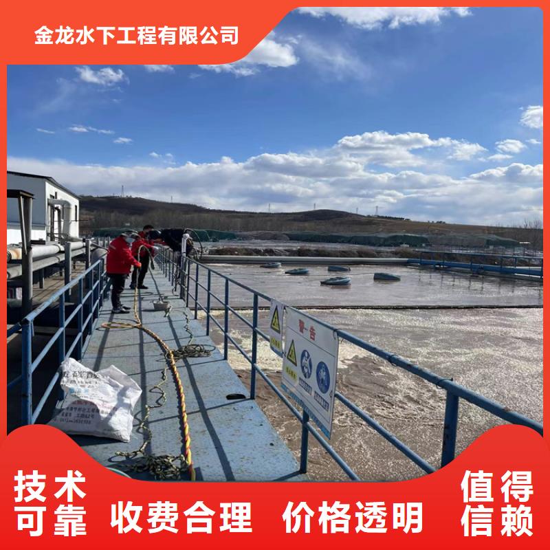 专业水下施工队(本地施工队)