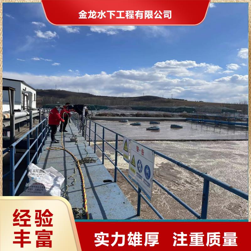 桥桩桥墩水下检测录像公司(本地施工队)
