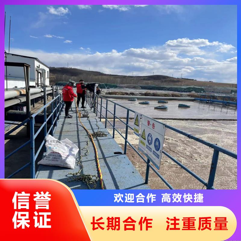蛙人服务公司-2025欢迎访问